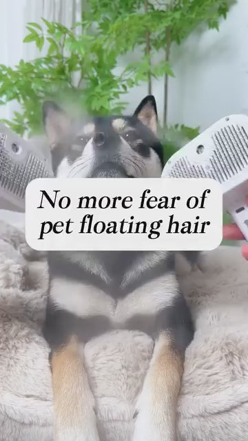 FurEase Comb – Spray, Comb, Shed-Free!